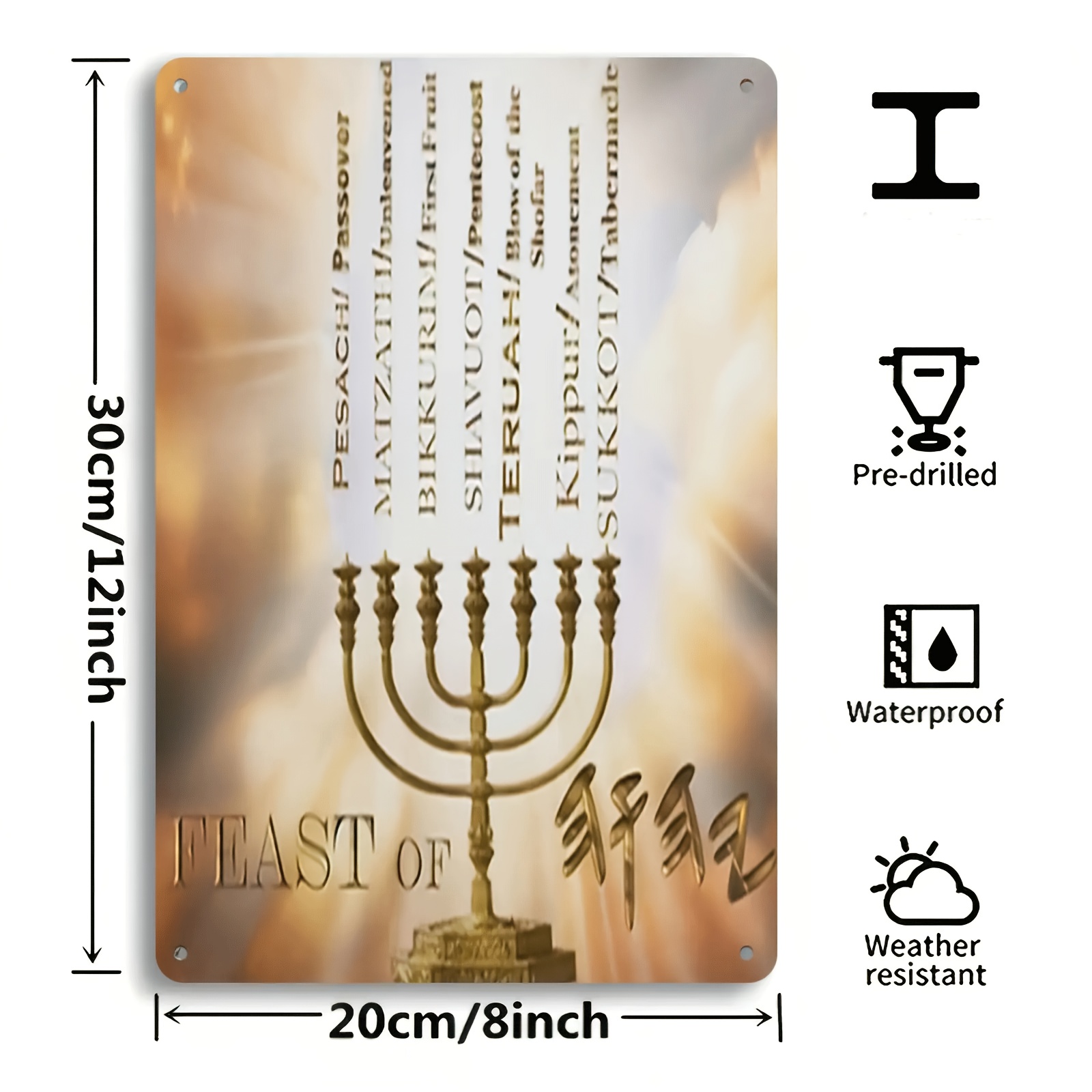 CIFBUYHebrew Star of David Alu - Home Decor Wall Art 评论和价格