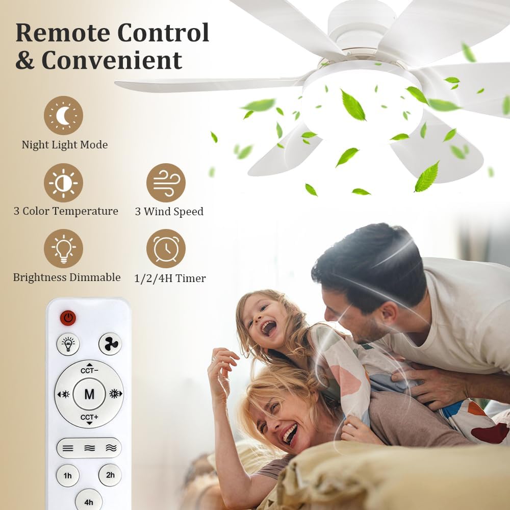 Socket Fan Light with Remote,  - Home Decor Light 评论和价格