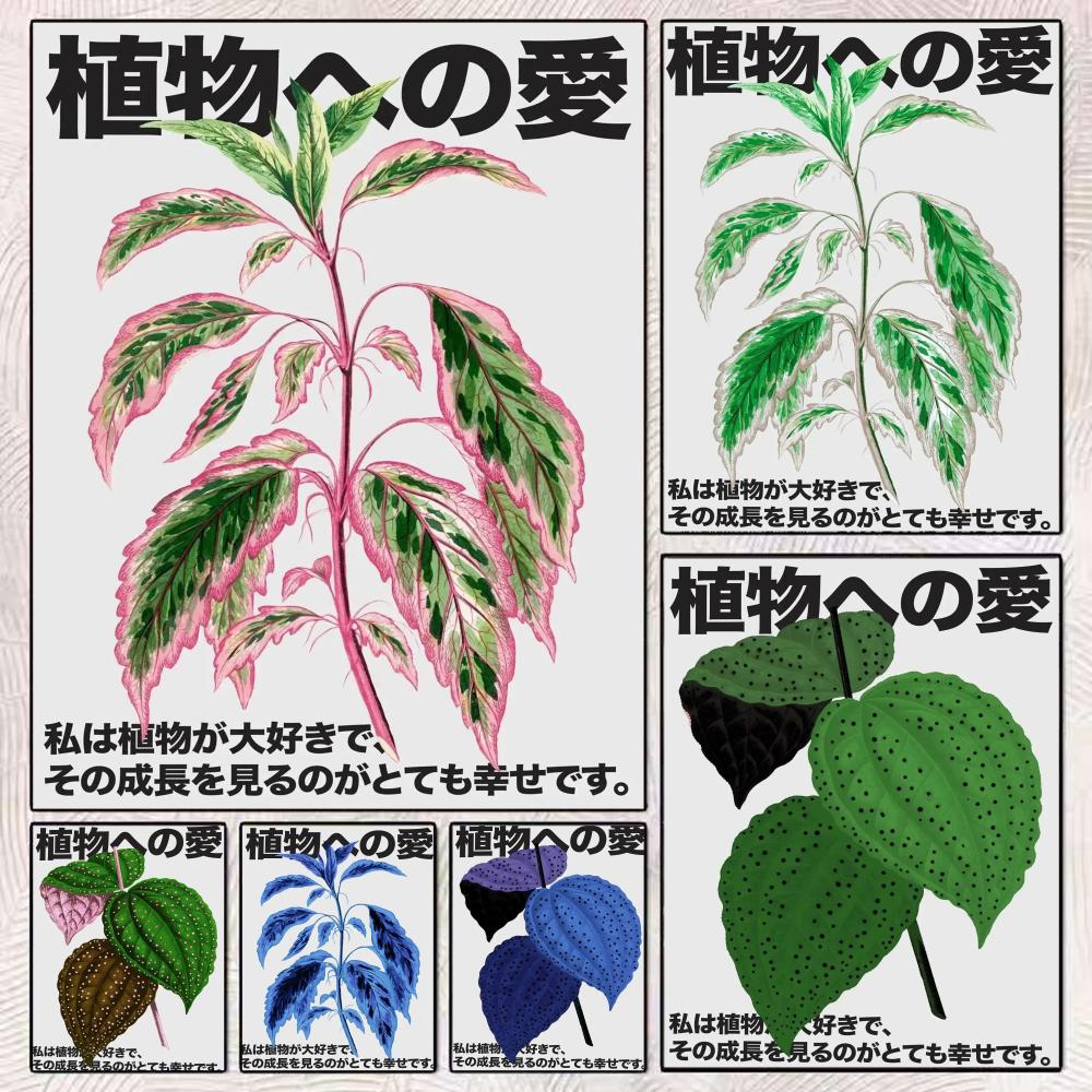 Japandi style Love for plants  - Home Decor Japandi Style 评论和价格