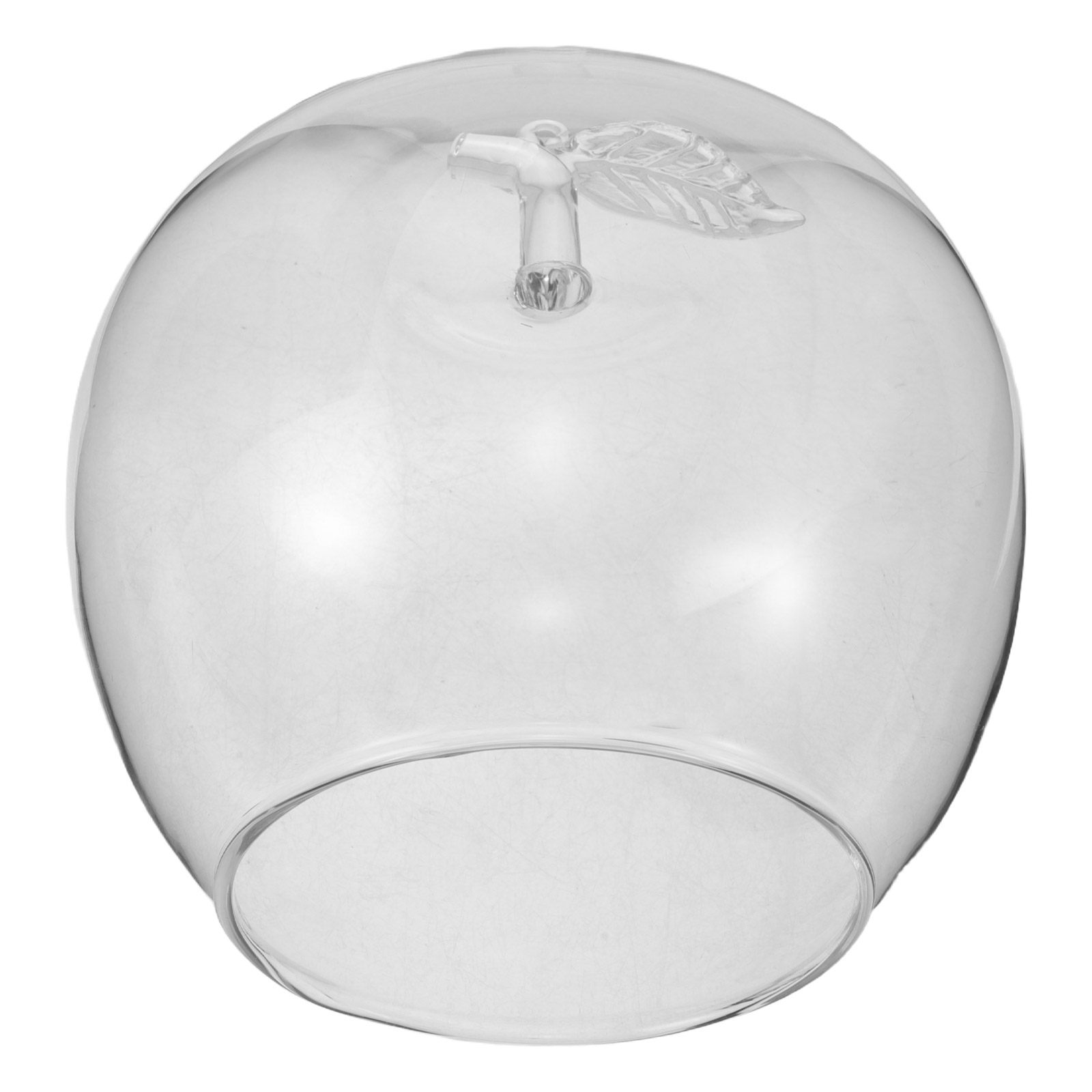 Fruit Themed Glass Dome Cloche - Home Decor Theme 评论和价格