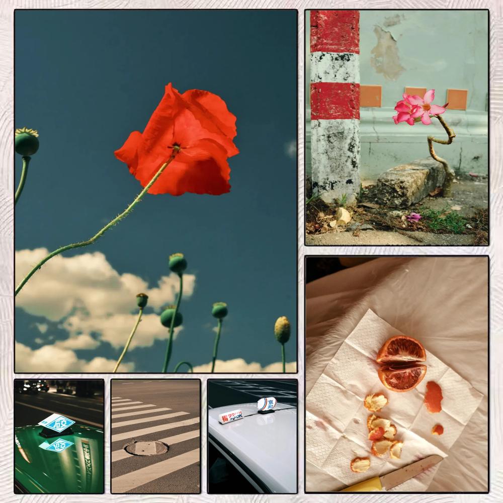 Japandi style An Ordinary Life - Home Decor Japandi Style 评论和价格